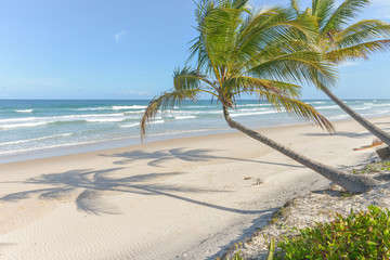 impressive paradise beach at the Itacare Bahia Brazil