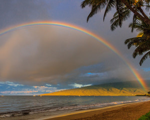 Maui Rainbow