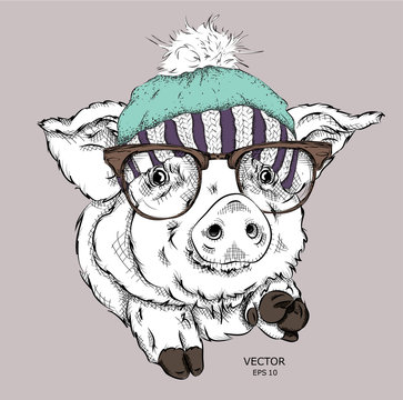 A painted funny pig with glasses and in christmas hat. Vector illustration. It can be used as a print on clothes or as part of the design of other products