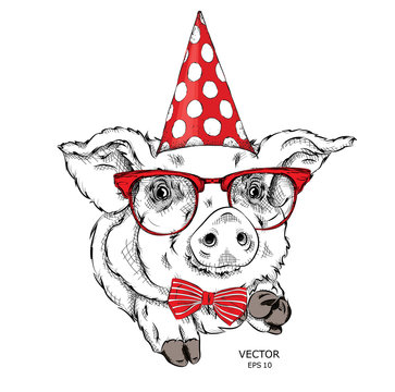 Hand draw pig in a celebratory cap. Vector illustration