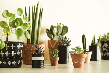 Stylish compostion of home garden filled a lot of cacti, succulent and plant in different hipster pots on marble table.