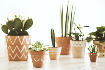 Modern composition of home garden filled a lot of plants in different hipster pots on the marble table. White background wall of home garden.
