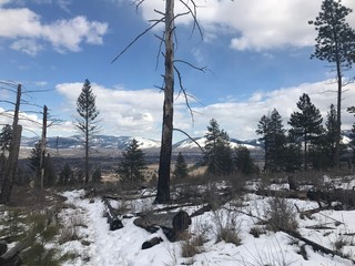 Montana View 