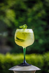 Fresh summer cold elderflower lemonade
