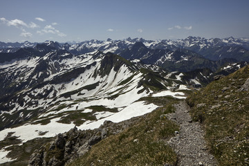Bergwiese in den Alpen bei Oberstdorf