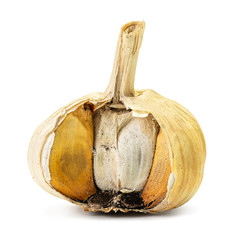 Moldy garlic isolated © fotoslaz