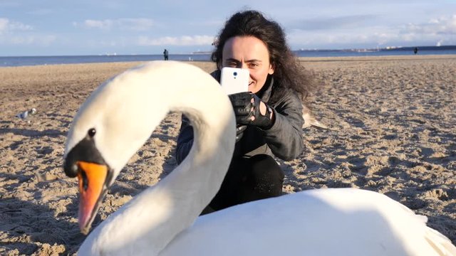 Girl tries to shoot phone video of walking swan on a Baltic Sea shore beach