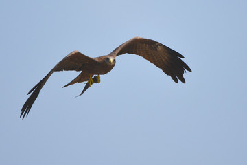 Stock photos by Keno Krieger