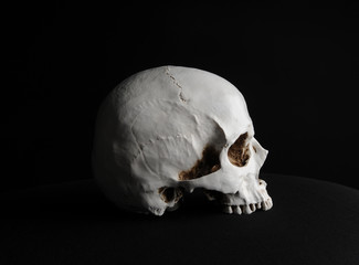 portrait of a human skull, photographed on black studio background.