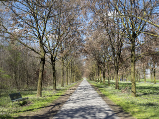 Parco Nord, Milan, at springtime