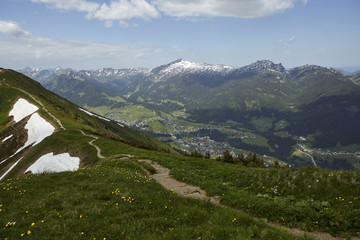 Bergwiese in den Alpen bei Oberstdorf