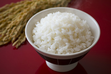 ごはん