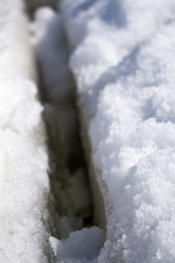 Big crevasse on the Aletsch glacier .