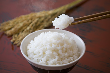 ごはん