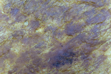 Milk Sponge Cake texture in closeup .