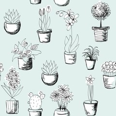 Vector seamless pattern with houseplants in pots
