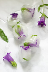 Bright ice cubes with flowers and herbs on a light marble background.