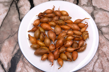 A seed set of onions ready to be planted in the measuring cup. White background.