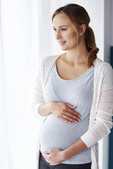 Affectionate pregnant woman looking through window