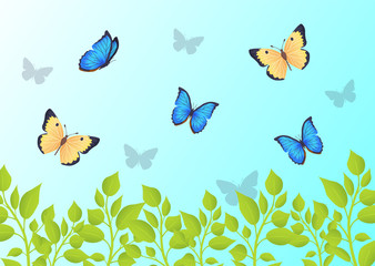 Butterflies that Fly Over Green Grass in Blue Sky