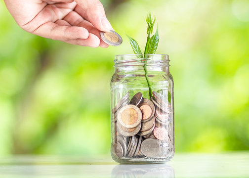 Save money interest Plant Growing In Savings Coins money in the glass saving money with hand putting coins Green Natural background