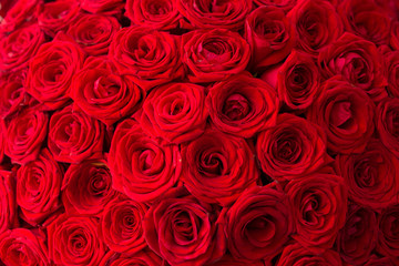 Big, beautiful bouquet of roses.