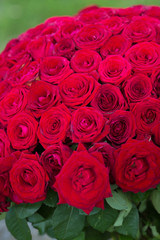 Big, beautiful bouquet of roses.