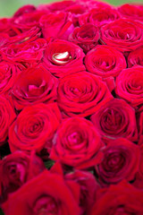 Big, beautiful bouquet of roses.