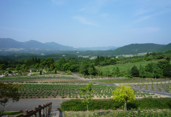 蒜山高原