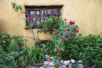 Rose Window Adobe Wall