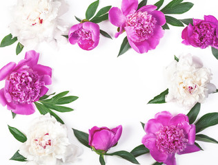 Floral frame made of pink and white peony flowers and leaves isolated on white background. Flat lay. Top view.