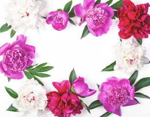 Floral frame made of pink and white peony flowers and leaves isolated on white background. Flat lay. Top view.