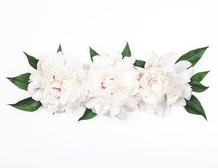 Three white peony flowers and leaves on white background. Top view. Flat lay.