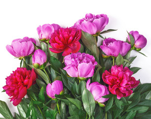 Obraz na płótnie Canvas Bouquet of pink peonies isolated on white background. Top view. Flat lay.
