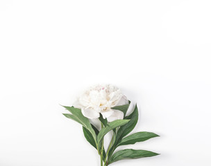 Obraz na płótnie Canvas White peony flower on white background. Top view with copy space. Flat lay.