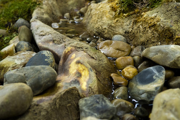 mountain stream in the forest