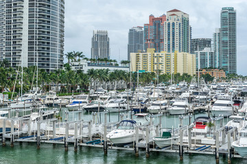 Fototapeta na wymiar Miami marina in Miami Florida