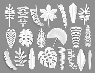 Tropical white paper cut leaves. Trendy summer exotic plants elemets with shadow isolated on grey background. Origamy style vector illustration. - 207762277
