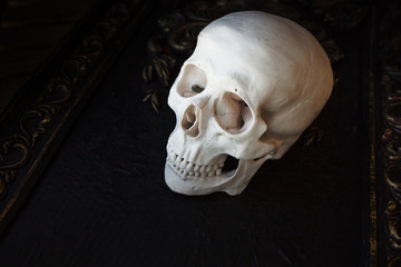 Human skull on the background of patterns. Black background, Halloween concept