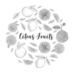 Organic citrus fruit banners. Healthy food. Engraving sketch vintage style. Vegetarian food for design menu, recipes, decoration kitchen items. Great for label, poster, packaging design.
