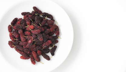 berries in white plate on isolated white background

