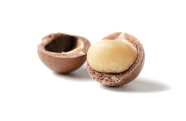 Shelled macadamia nuts isolated