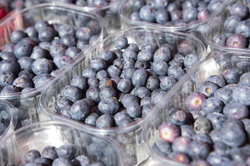 フルーツ市場 フィンランド　ヘルシンキ