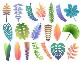 Fototapeta na wymiar Tropical leaves collection. Trendy summer exotic palms, monstera, philodendron, kalatea, fern, orchid, banana, coconut isolated on white background. Gradient style vector illustration.
