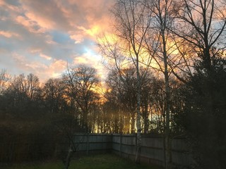 Sunset in backyard 