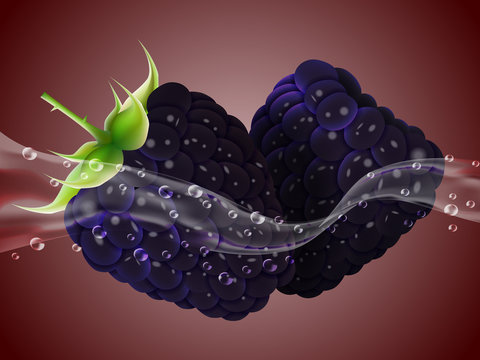 Delicious juicy blackberry in spray of juice. Realistic style. Vector illustration.