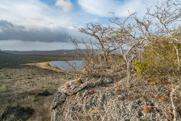 Rif ST Marie salt pan Curacao Views