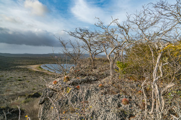 Rif ST Marie salt pan Curacao Views
