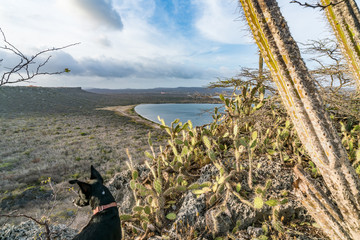 Rif ST Marie salt pan Curacao Views