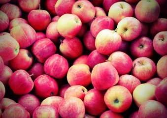 background of red apples with vintage effect